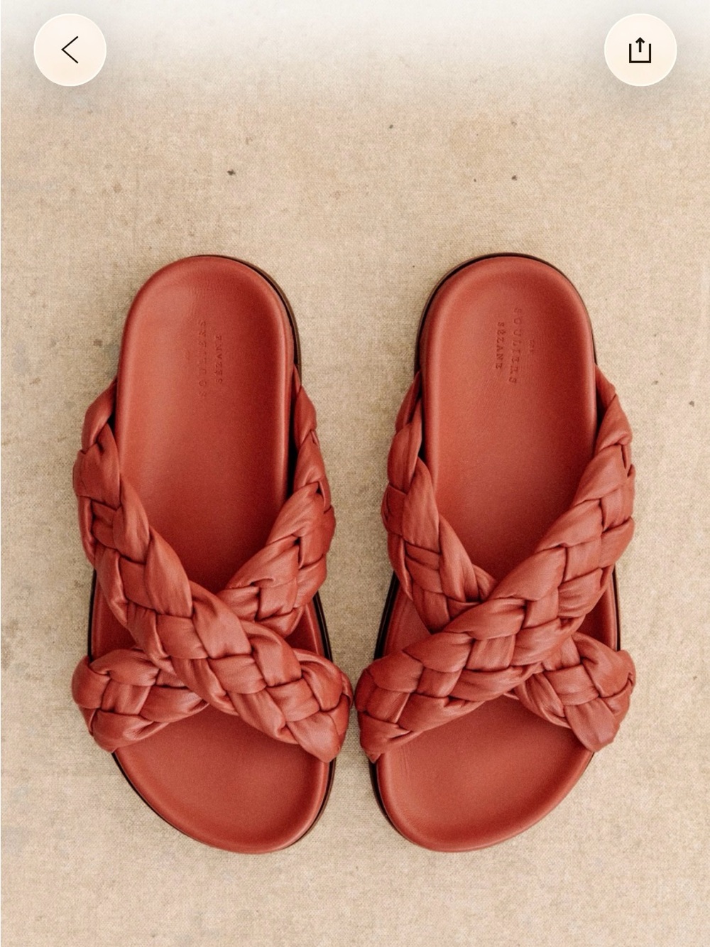 NWT Sezane low Eden mules in Terracotta, size US 8